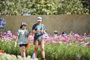 BIB: 
                            <button type="button" onclick="openModal(27803780)" class="btn btn-primary btn-sm float-right btn-popup" data-toggle="modal" data-target=".modal-high-quality">
                        <i class="fas fa-shopping-cart"></i> Add to Cart
                    </button>
                                            <button type="button" onclick="isThisMe(27803780, true)" class="btn btn-success btn-sm float-right btn-popup btn-isme hidden" data-toggle="tooltip" data-placement="bottom" title="นี่คือรูปของคุณใช่ไหม คลิกที่นี่เพื่อเอาเข้าอัลบั้ม">
                        <i class="fas fa-plus"></i> Add to album
                    </button>
                    <button type="button" onclick="isThisMe(27803780, false)" class="btn btn-warning btn-sm float-right btn-popup btn-isnotme hidden">
                        <i class="fas fa-ban"></i> Remove from album
                    </button>